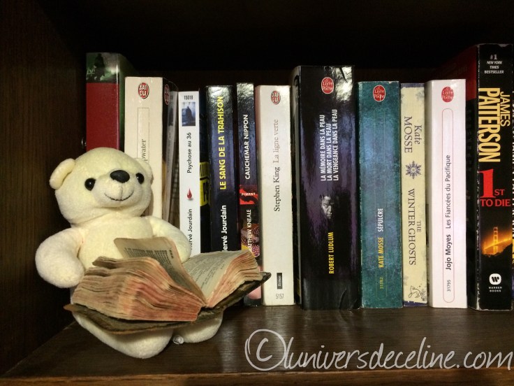 Projet 52 2016 - S2 #lire