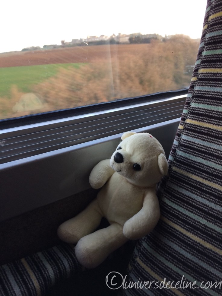 Projet 52 2016 - S3 #quotidien