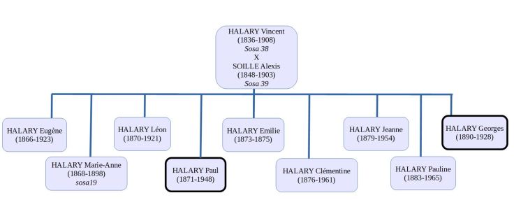 schema_halary