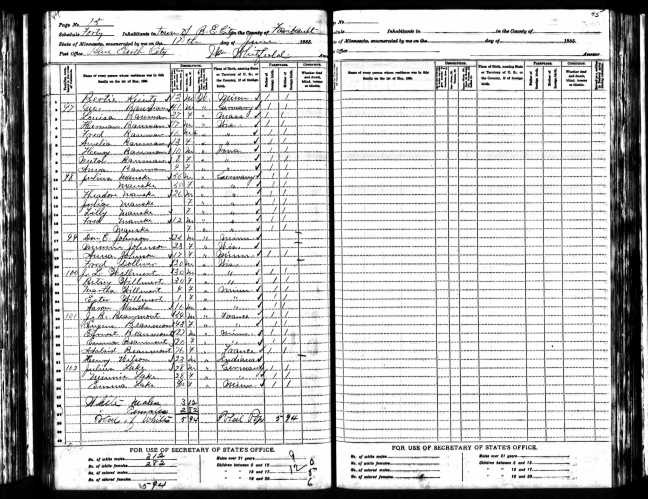 Beaumont - 1885 Minnesota Census - Town of Blue Earth